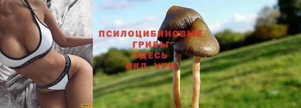 ALPHA-PVP Алзамай