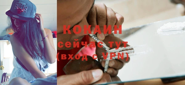 спайс Алексин