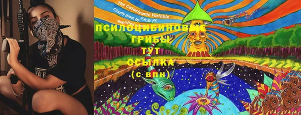 стаф Алексеевка