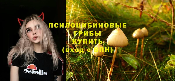 спайс Алексин