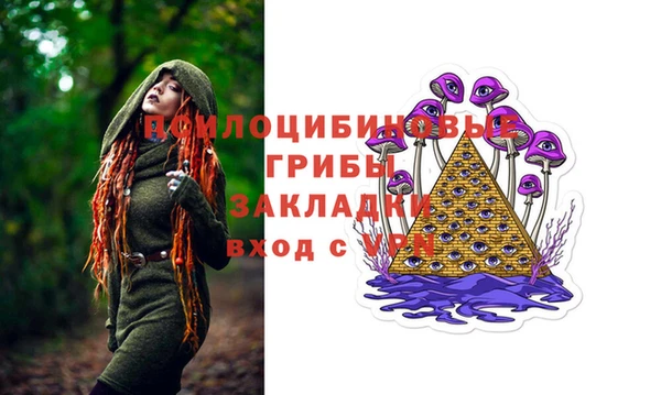 спайс Алексин